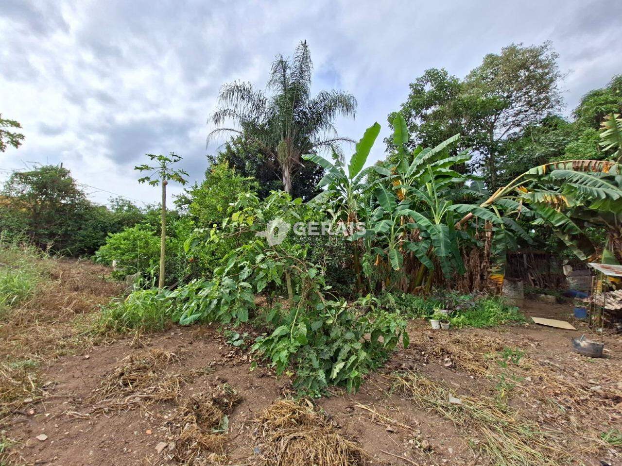 Lote à venda no SÃO ROQUE: 05 - LOTE