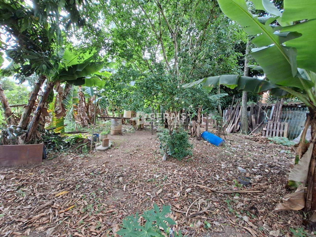 Lote à venda no SÃO ROQUE: 06 - LOTE