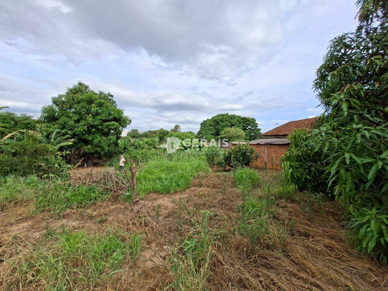 Lote à venda no SÃO ROQUE: 07 - LOTE