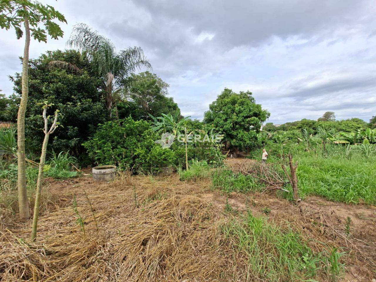Lote à venda no SÃO ROQUE: 04 - LOTE