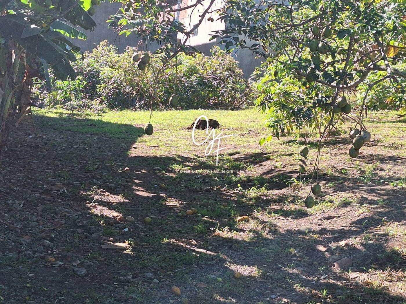 Casa à venda no Baixo Grande: 