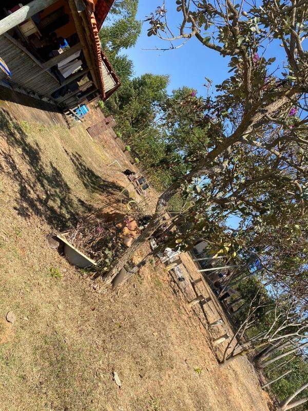 Chácara à venda no Centro: 