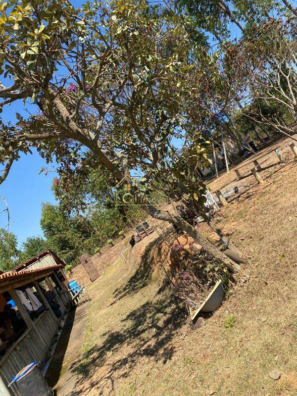 Chácara à venda no Centro: 