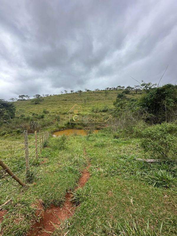 Fazenda à venda no Centro: 