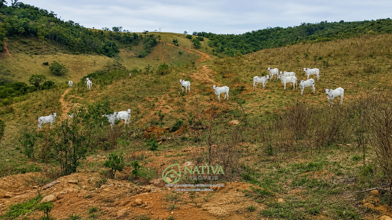 Fazenda à venda no Zona rural: 