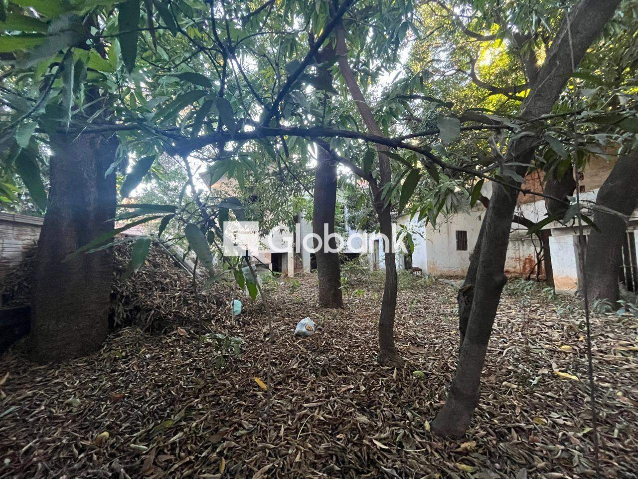 Casa 5 quartos à venda Centro 360m² Montes Claros MG: 