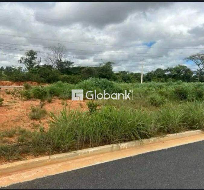 Terreno à venda Residencial Quintas da Produção 160m² Montes Claros MG: