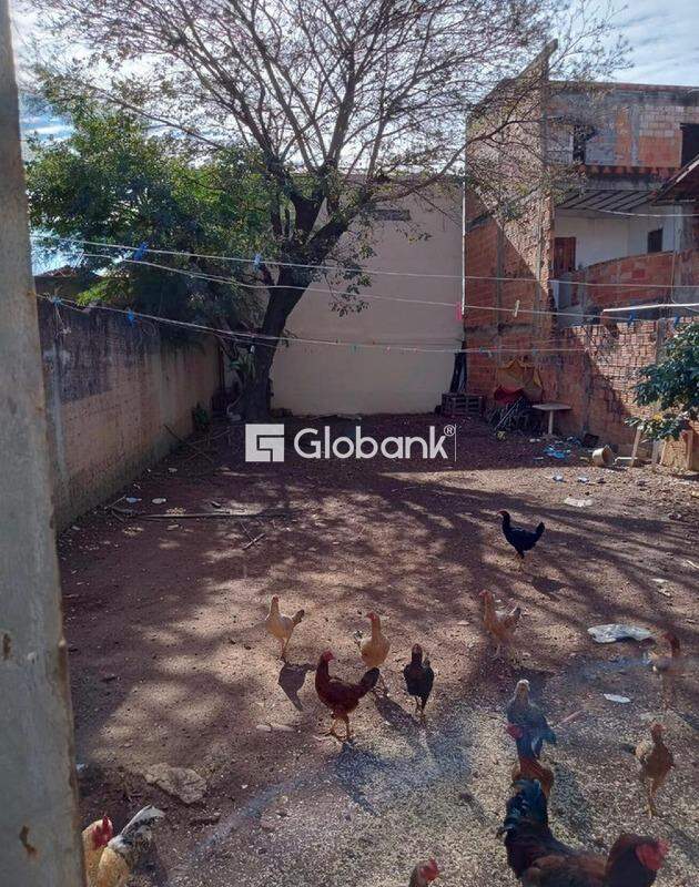 Terreno à venda João Botelho 198m² Montes Claros MG: 