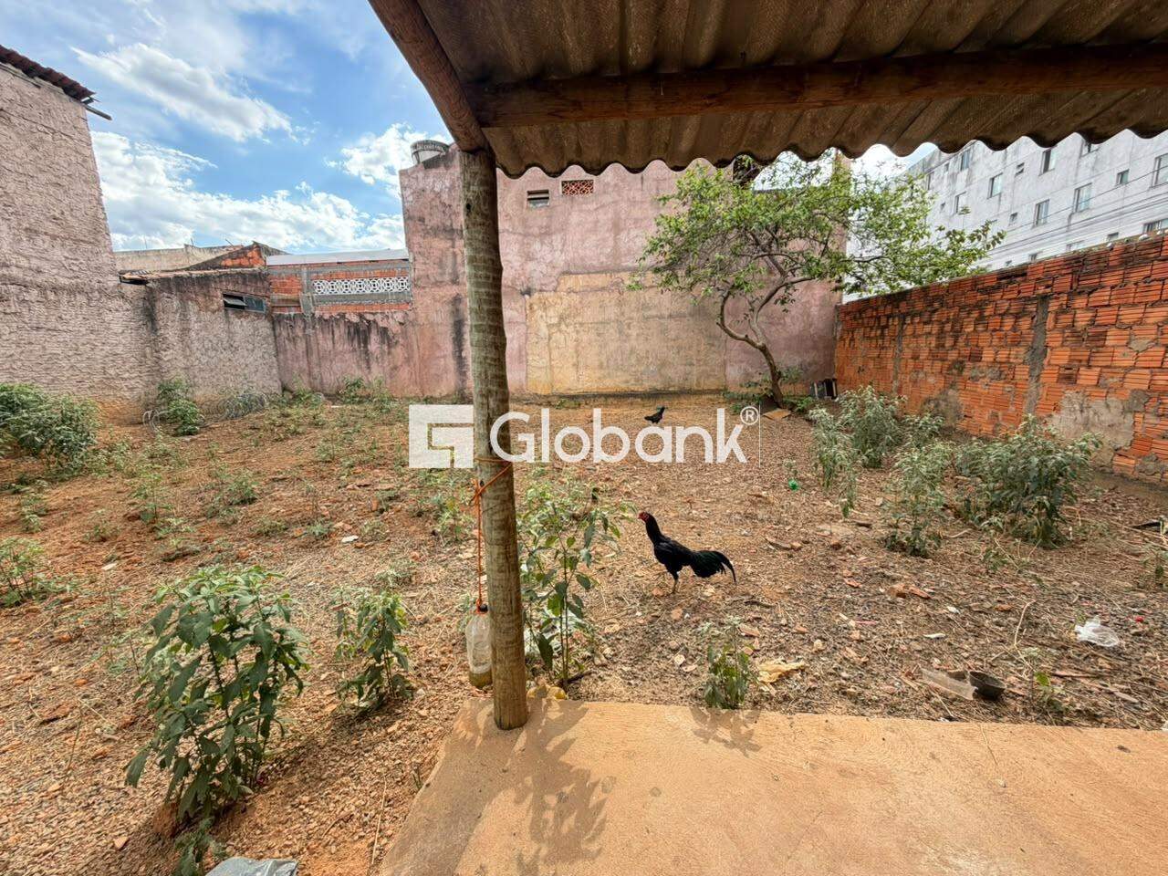 Terreno para aluguel Jardim São Geraldo 225m² Montes Claros MG: