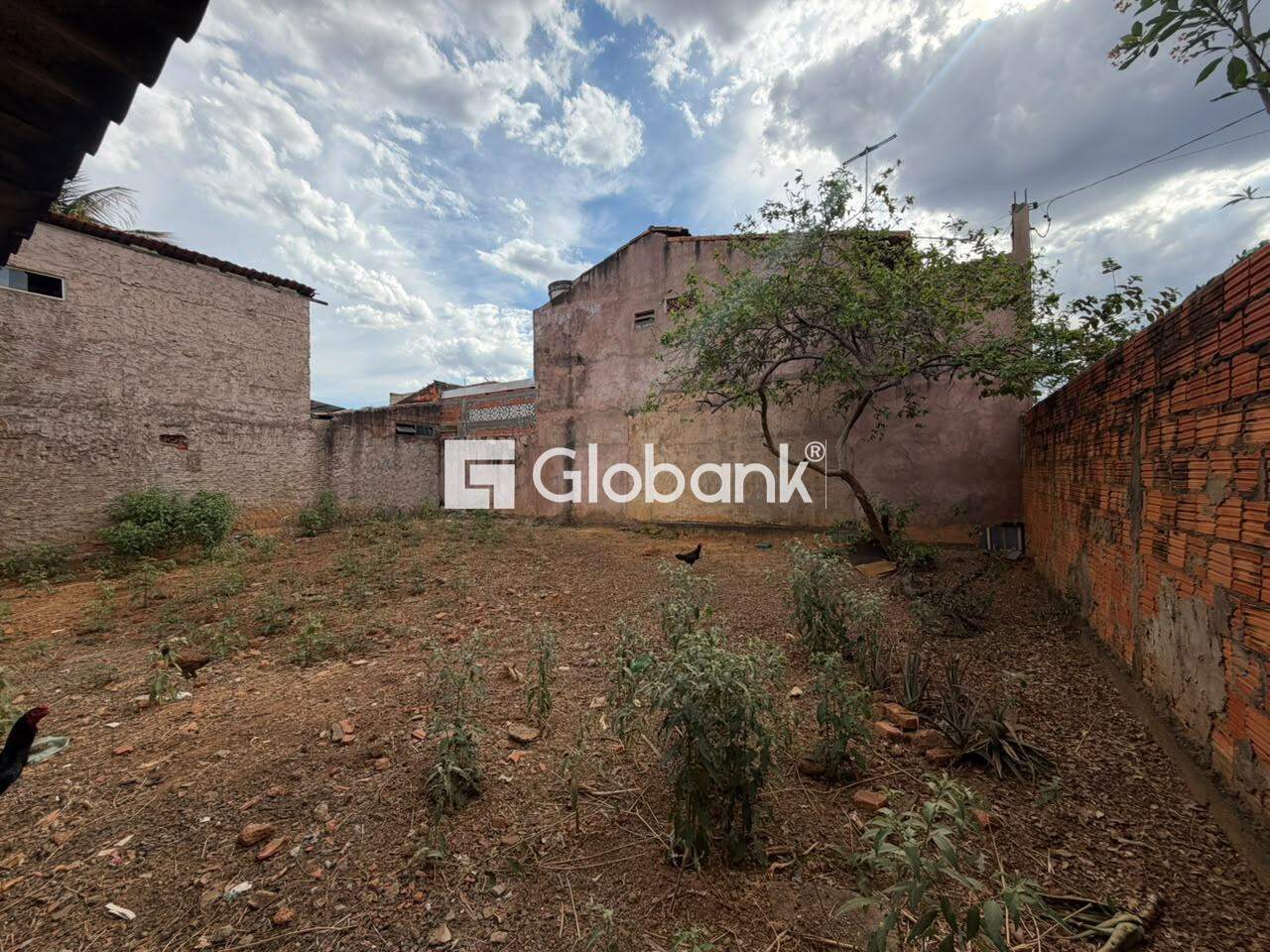 Terreno para aluguel Jardim São Geraldo 225m² Montes Claros MG:
