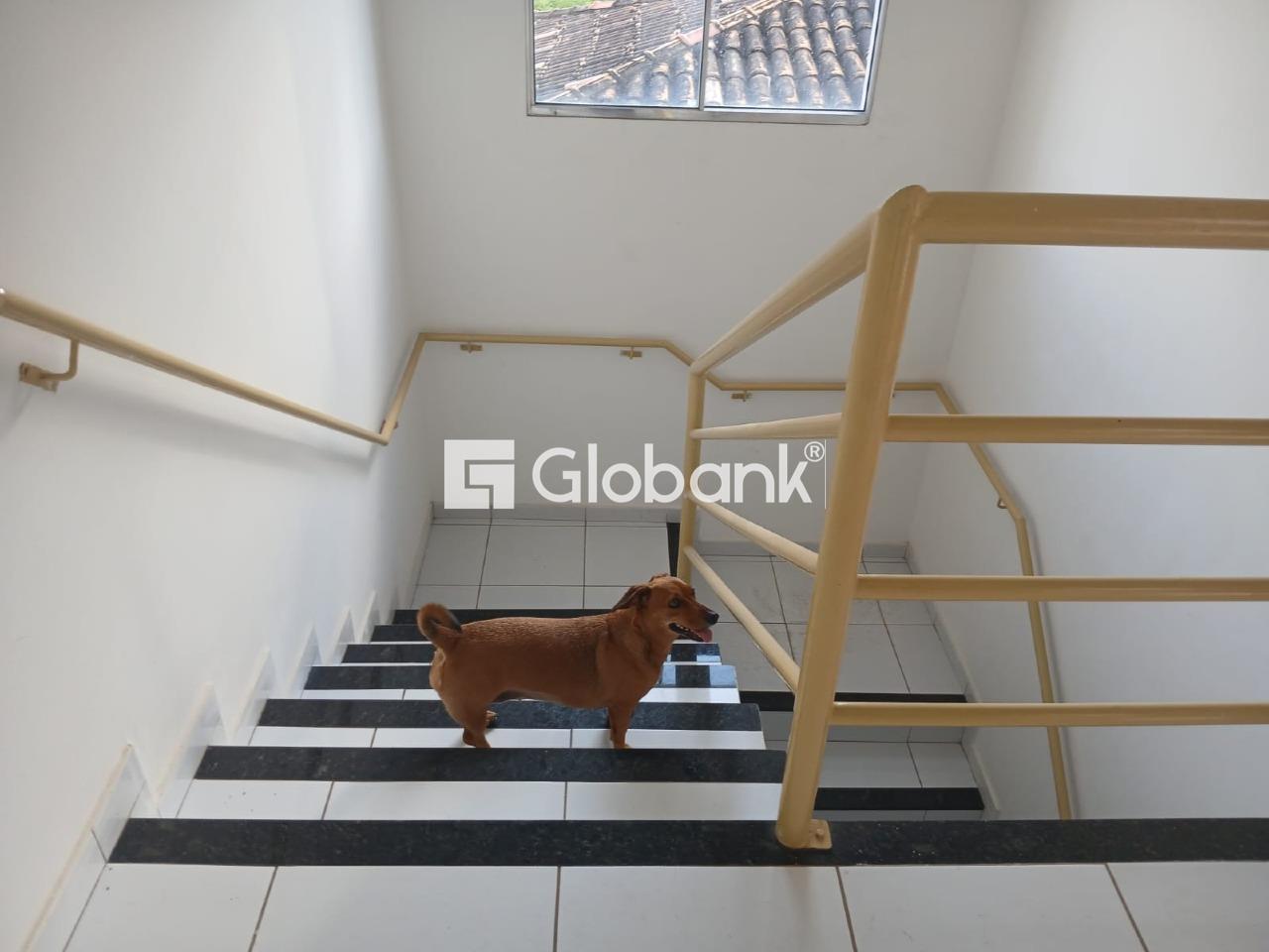 Cobertura 3 quartos à venda Barcelona Park 215,63m² Montes Claros MG: 