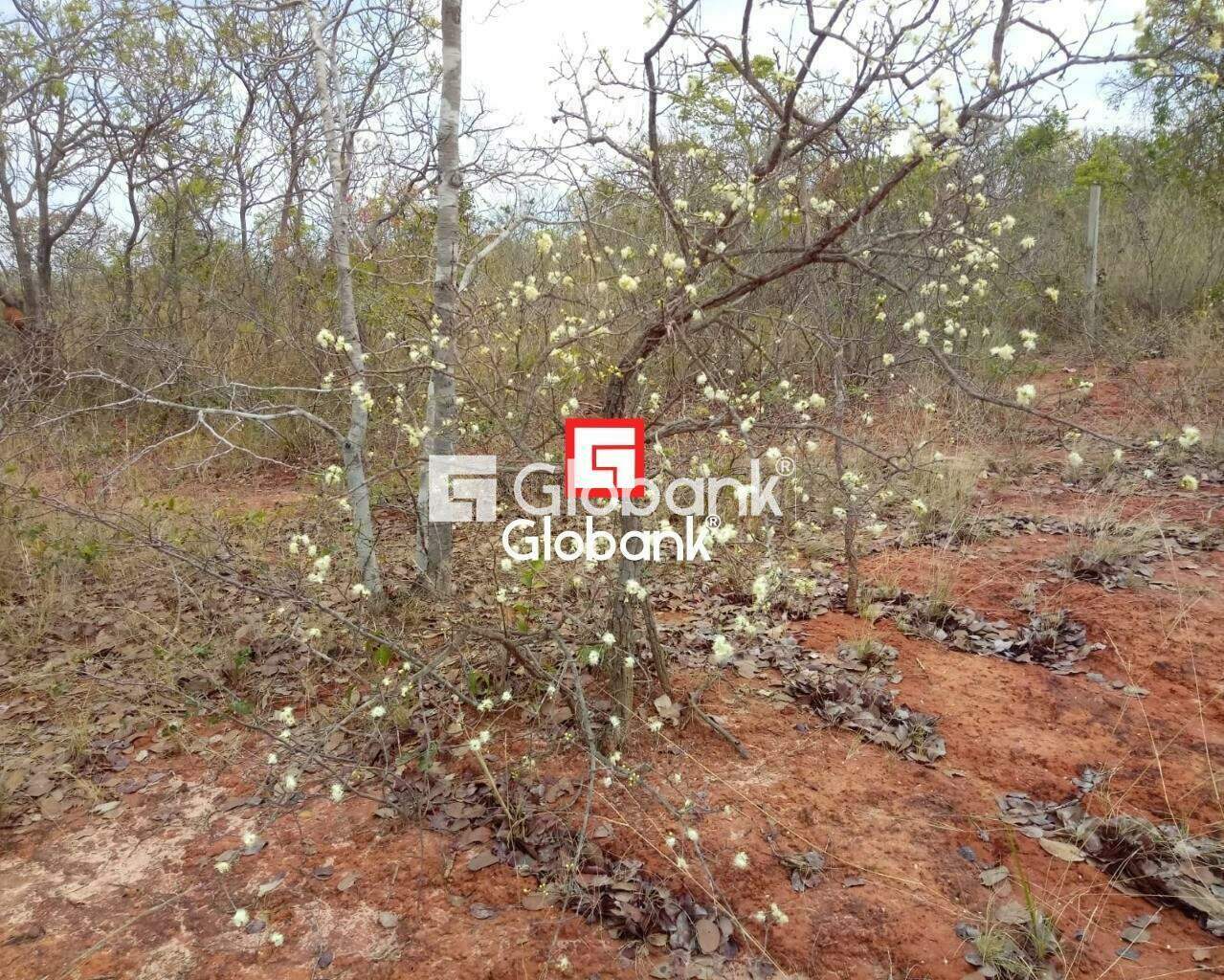 Fazenda 1 quarto à venda Zona Rural 0m² Patis MG: | Foto_migracao | 9