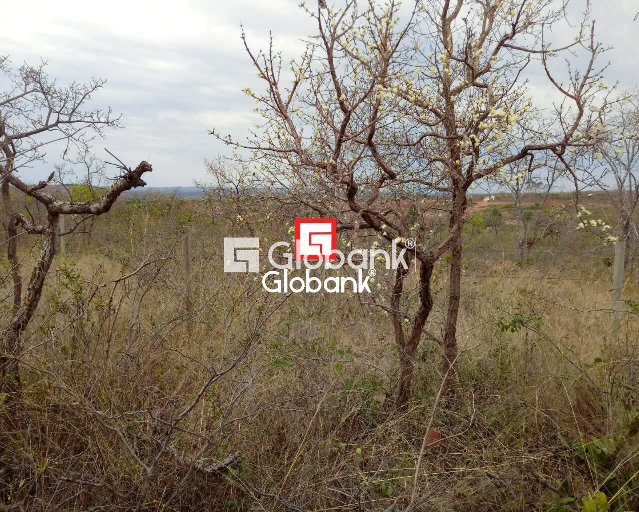 Fazenda 1 quarto à venda Zona Rural 0m² Patis MG: | Foto_migracao | 7