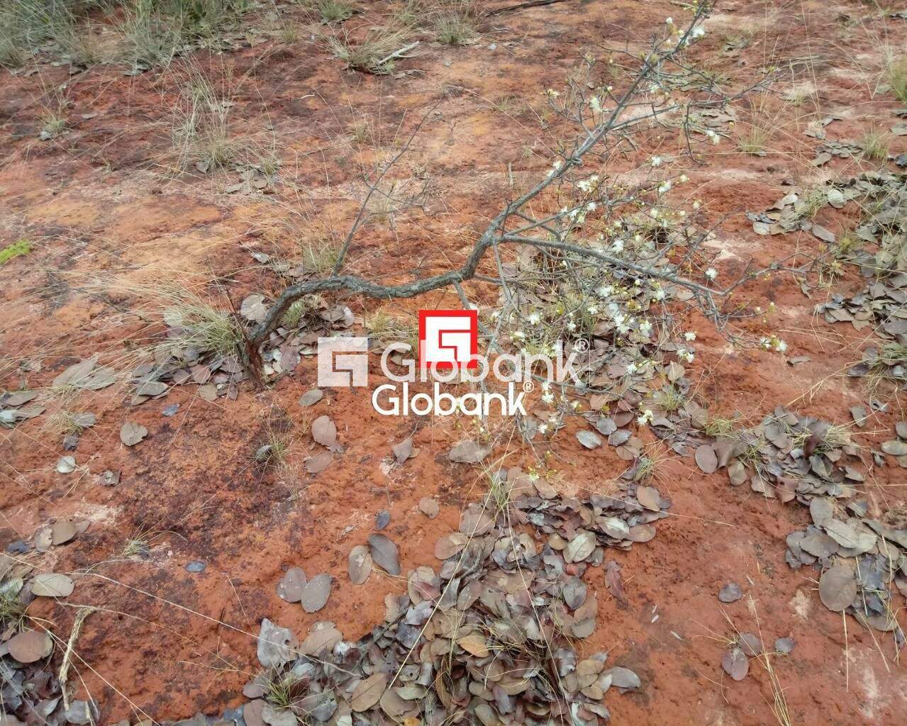 Fazenda 1 quarto à venda Zona Rural 0m² Patis MG: | Foto_migracao | 13