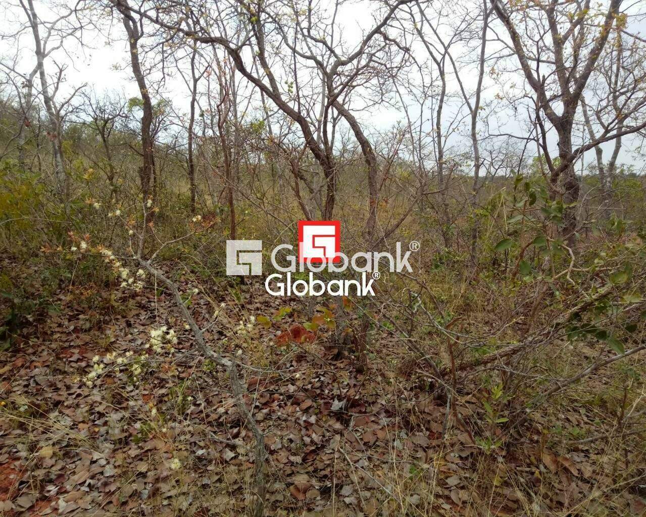 Fazenda 1 quarto à venda Zona Rural 0m² Patis MG: | Foto_migracao | 14