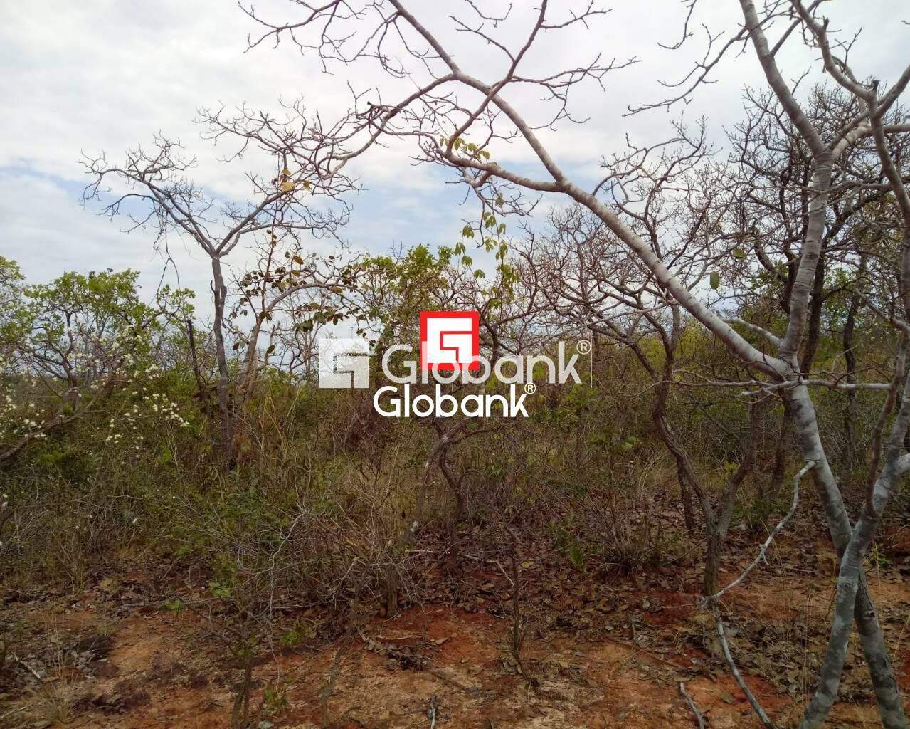 Fazenda 1 quarto à venda Zona Rural 0m² Patis MG: | Foto_migracao | 11
