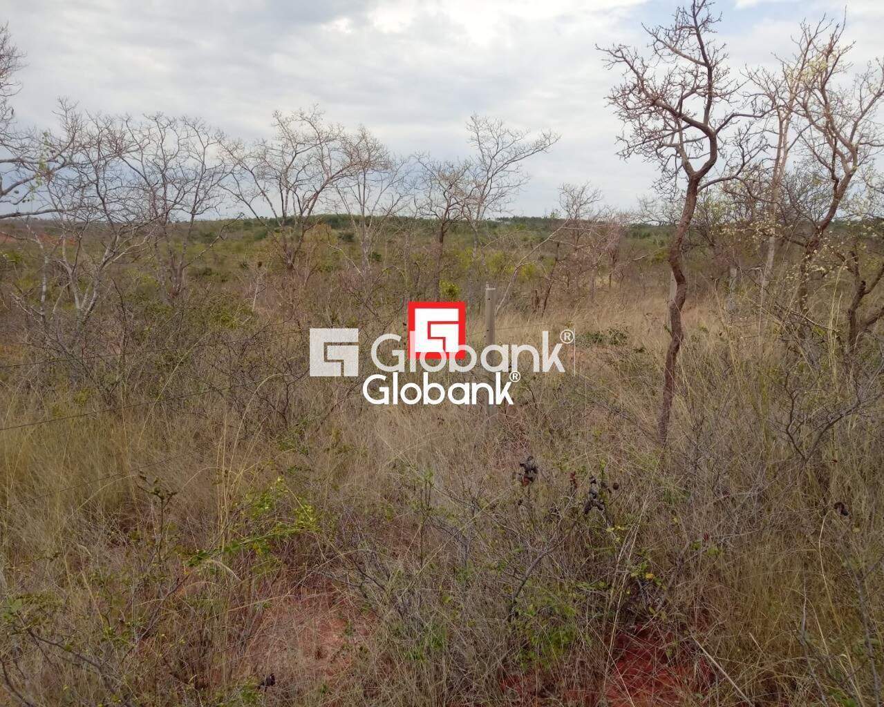 Fazenda 1 quarto à venda Zona Rural 0m² Patis MG: | Foto_migracao | 15