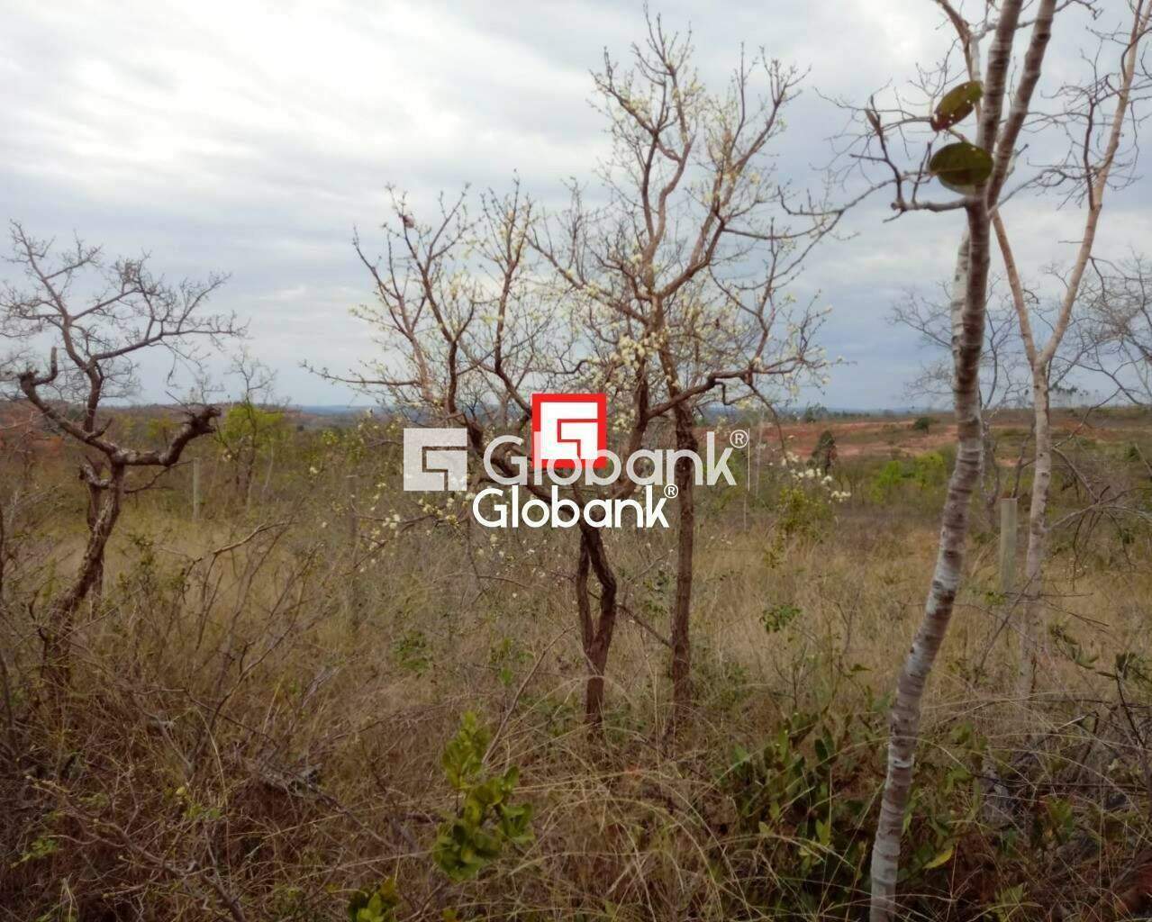 Fazenda 1 quarto à venda Zona Rural 0m² Patis MG: | Foto_migracao | 4