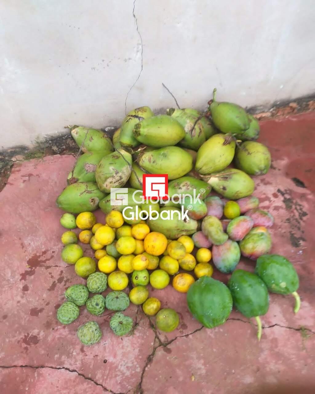 Chácara 4 quartos à venda Área Rural de Montes Claros 0m² Montes Claros MG: | Foto_migracao | 4