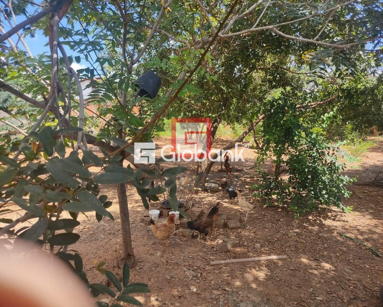 Terreno à venda Ibituruna 0m² Montes Claros MG: Foto 03 | Foto_migracao | 3