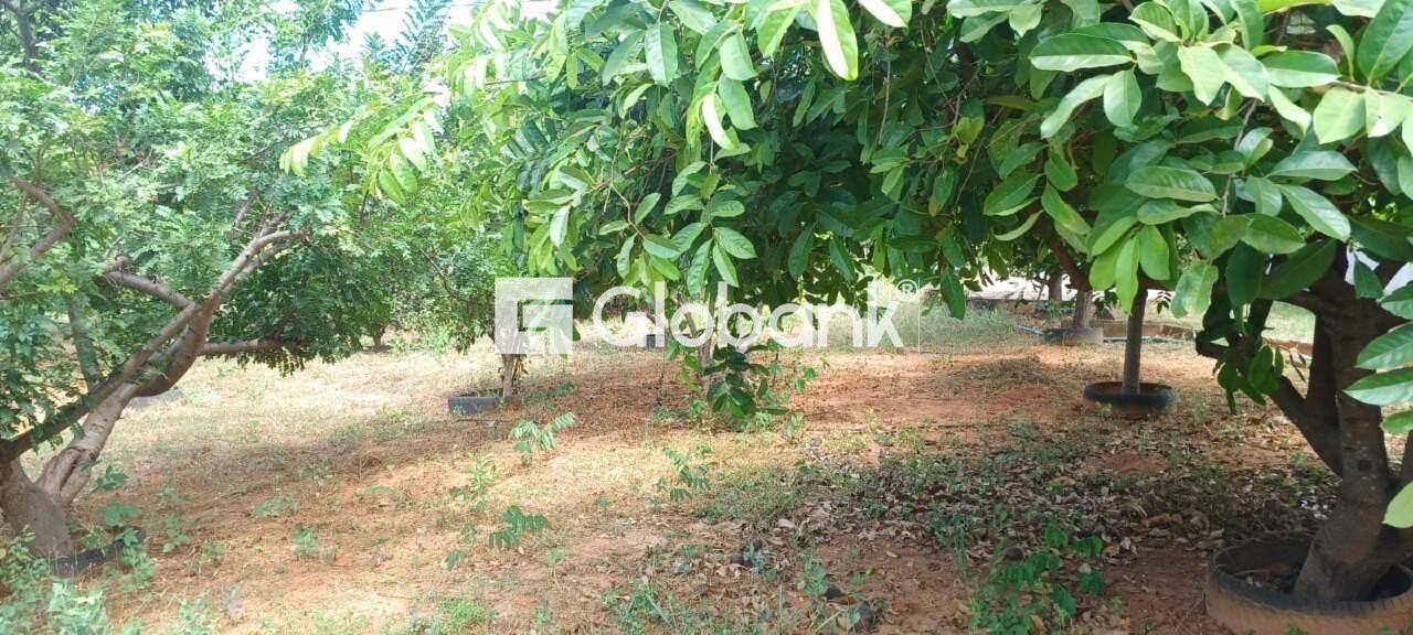 Chácara à venda Major Prates 0m² Montes Claros MG: | Foto_migracao | 26