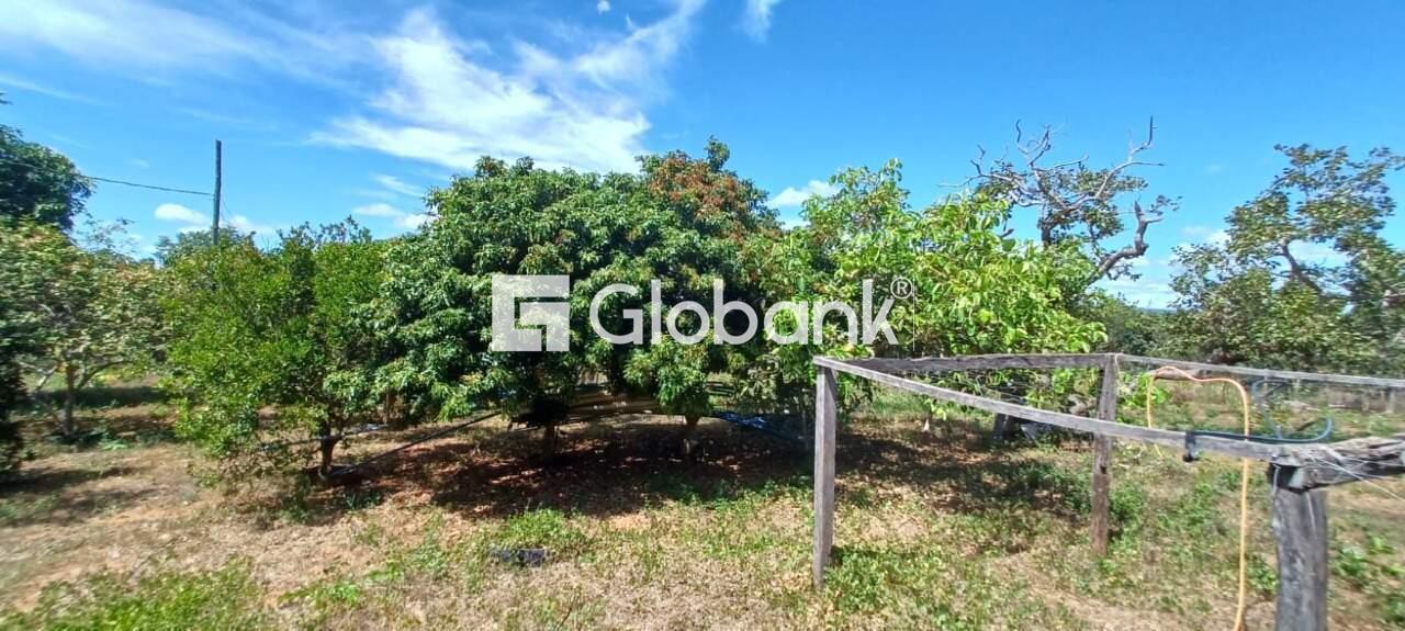 Chácara à venda Major Prates 0m² Montes Claros MG: | Foto_migracao | 3