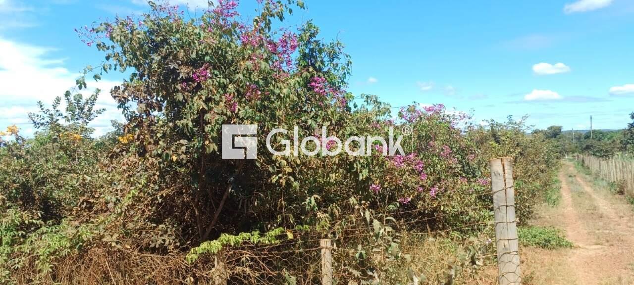 Chácara à venda Major Prates 0m² Montes Claros MG: | Foto_migracao | 8