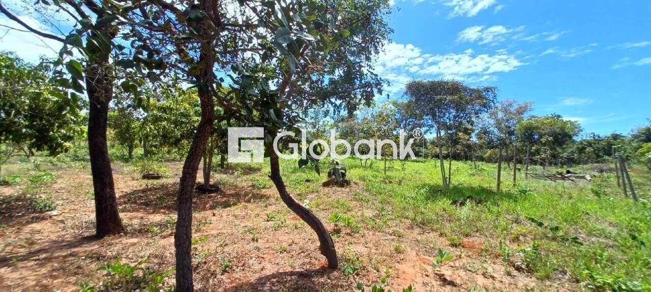 Chácara à venda Major Prates 0m² Montes Claros MG: | Foto_migracao | 18