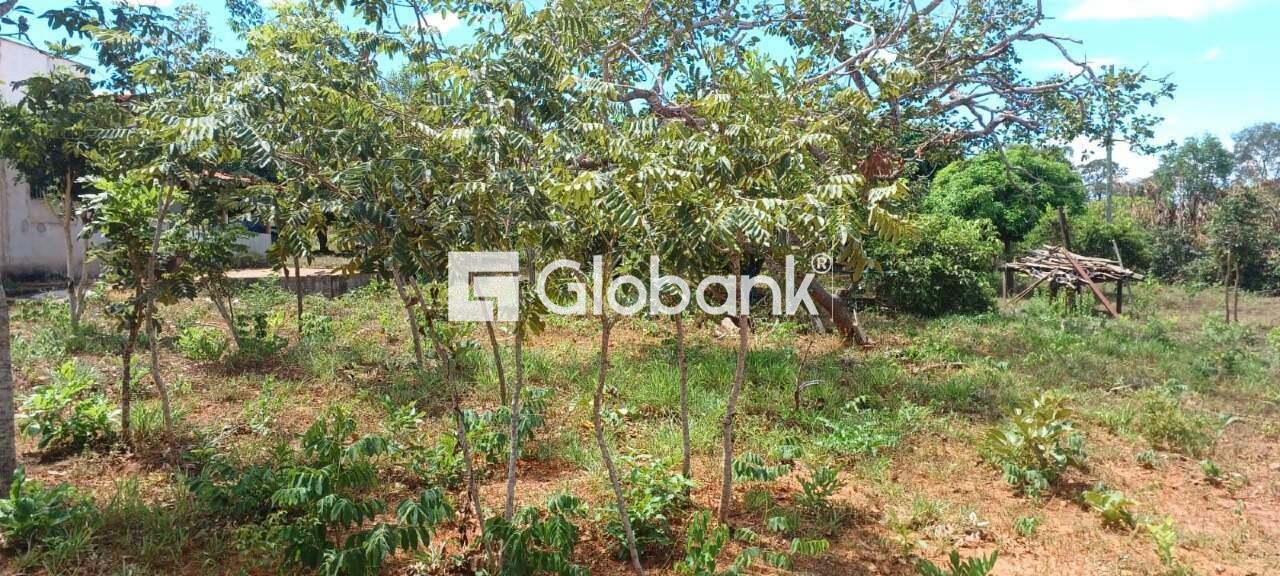 Chácara à venda Major Prates 0m² Montes Claros MG: | Foto_migracao | 21