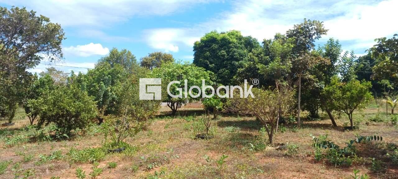 Chácara à venda Major Prates 0m² Montes Claros MG: | Foto_migracao | 10