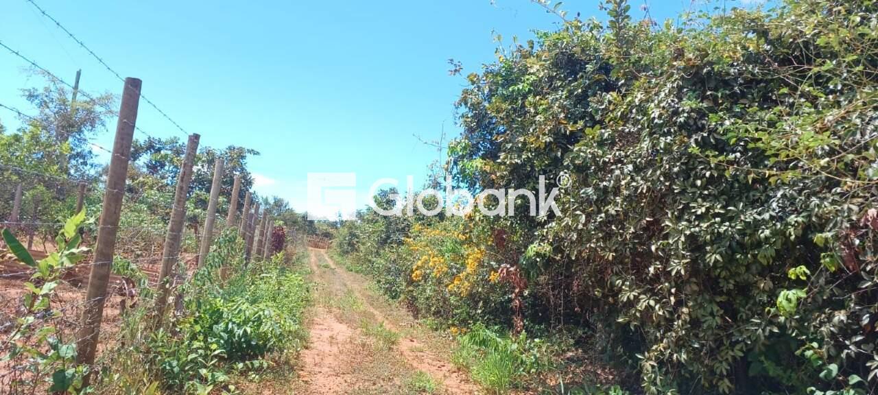 Chácara à venda Major Prates 0m² Montes Claros MG: | Foto_migracao | 28