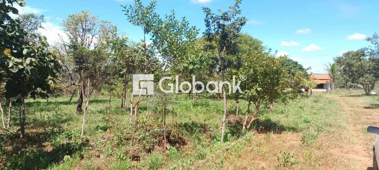 Chácara à venda Major Prates 0m² Montes Claros MG: | Foto_migracao | 9