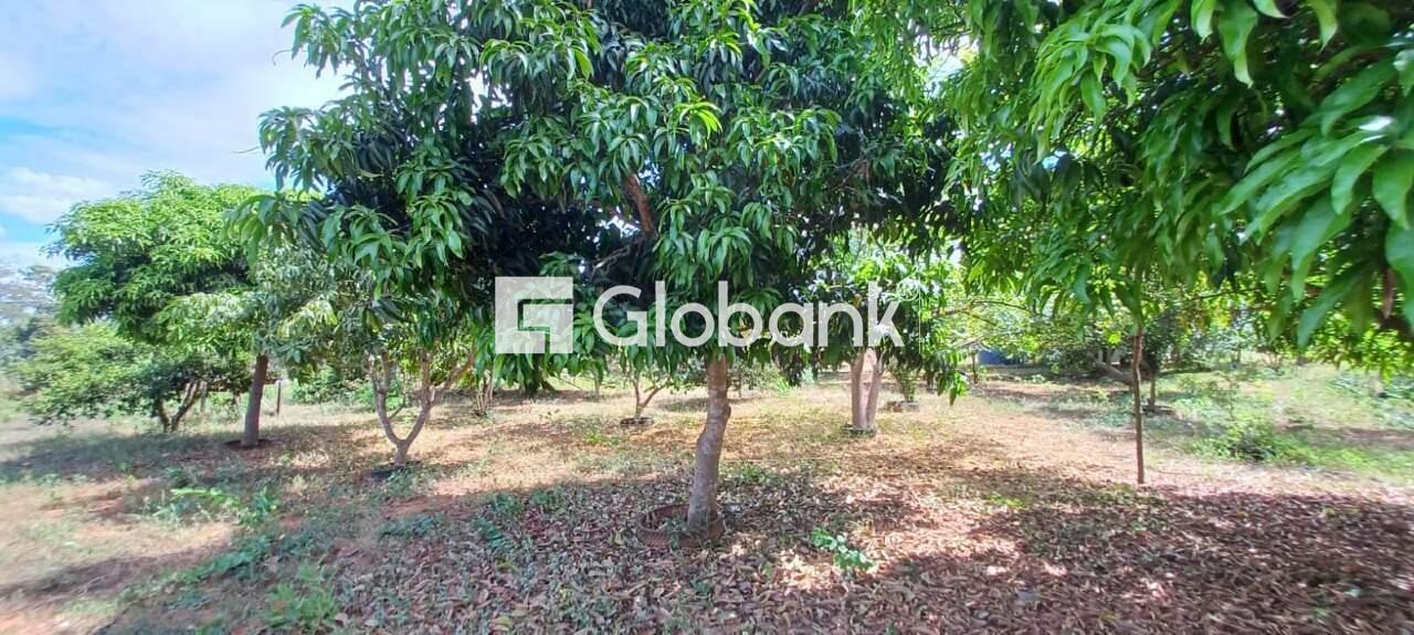 Chácara à venda Major Prates 0m² Montes Claros MG: | Foto_migracao | 5