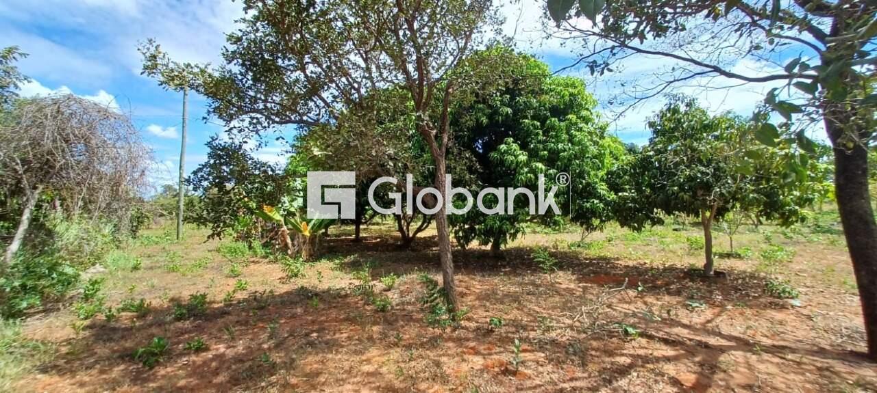 Chácara à venda Major Prates 0m² Montes Claros MG: | Foto_migracao | 16