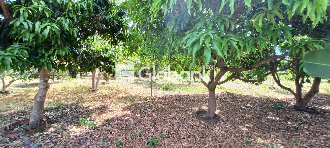 Chácara à venda Major Prates 0m² Montes Claros MG: | Foto_migracao | 25