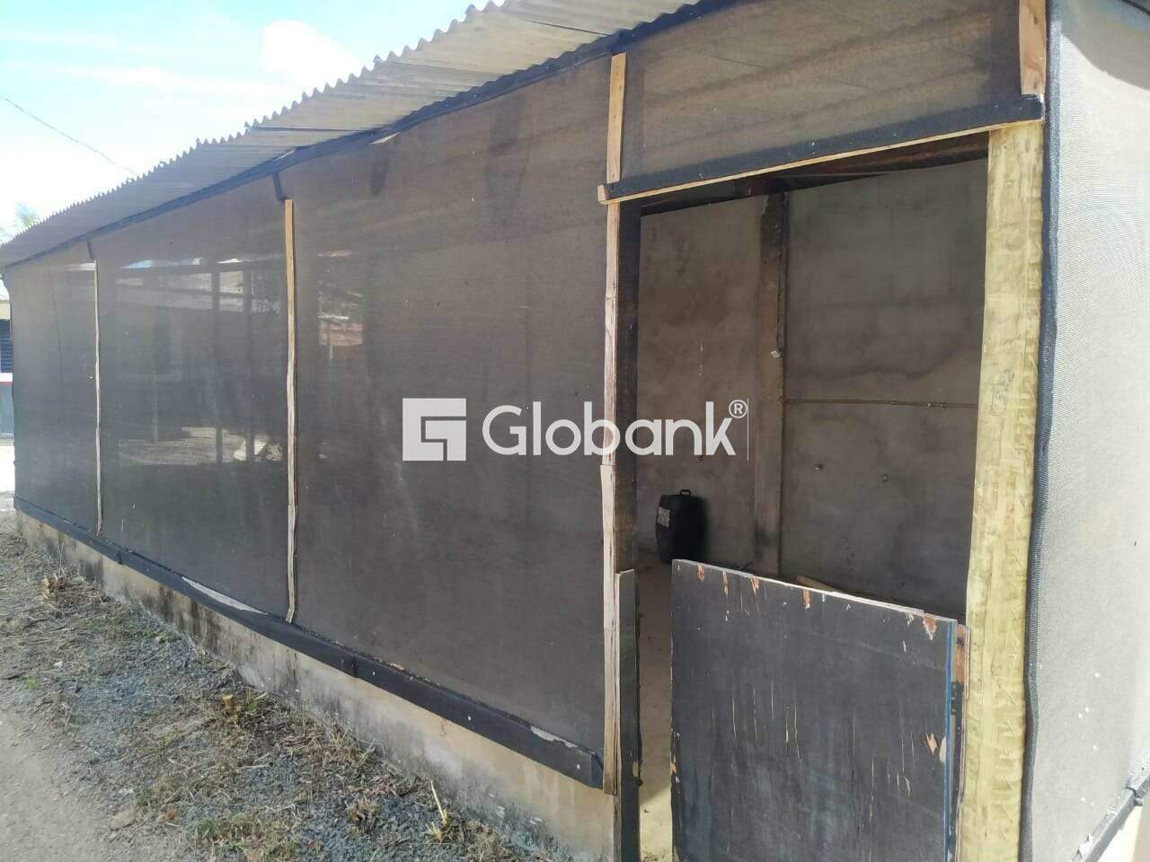 Galpão à venda Major Prates 4.600m² Montes Claros MG: | Foto_migracao | 12