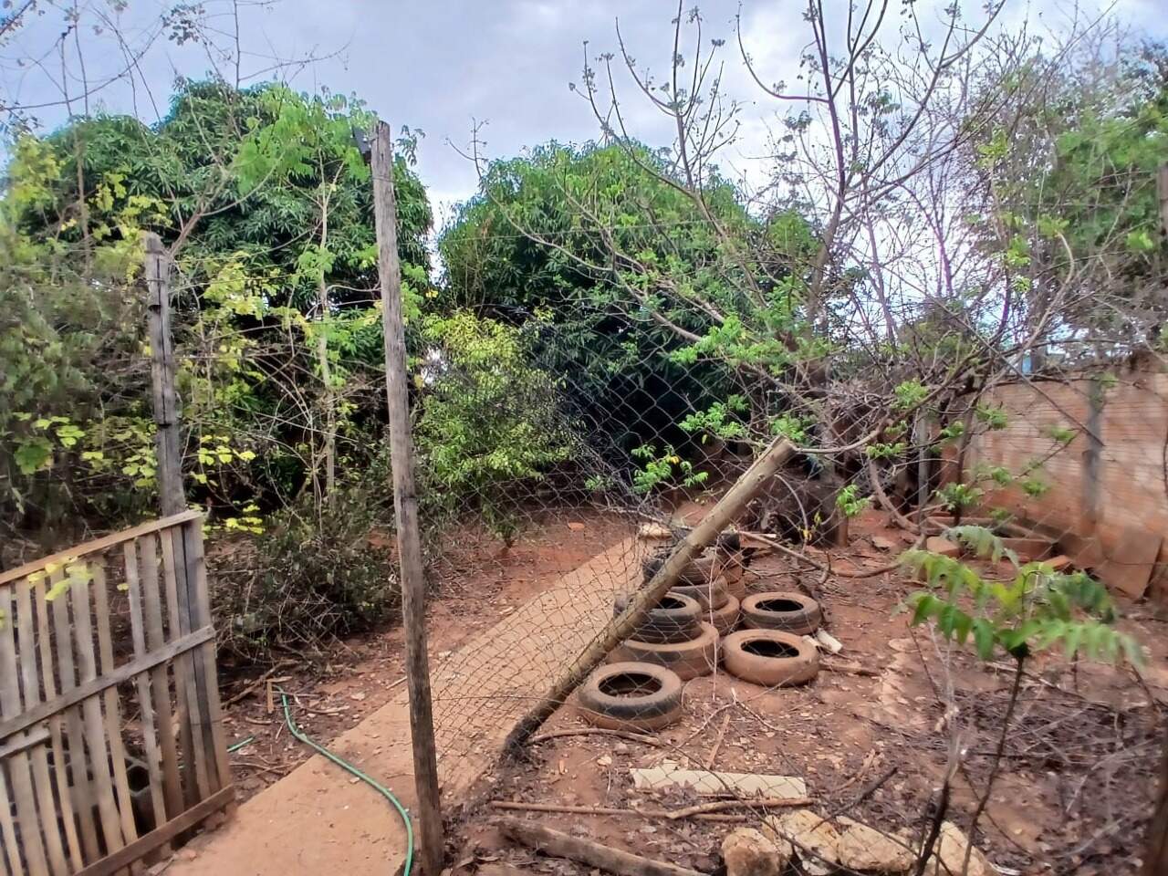 Fazenda à venda Área Rural de Montes Claros 1.260m² Montes Claros MG: 