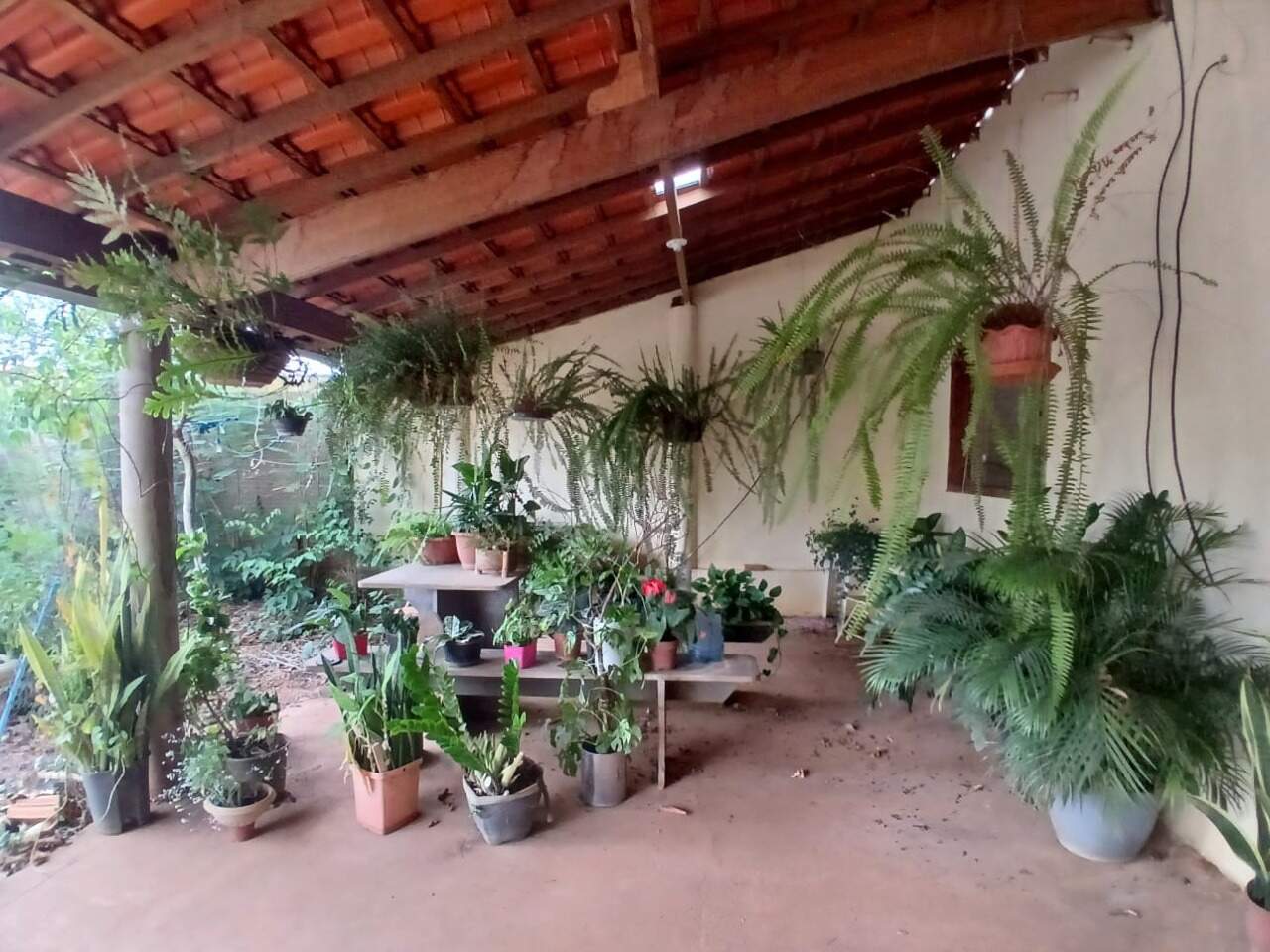 Fazenda à venda Área Rural de Montes Claros 1.260m² Montes Claros MG: 
