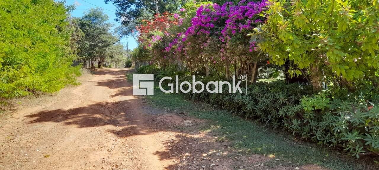 Chácara 5 quartos à venda Major Prates 0m² Montes Claros MG: | Foto_migracao | 1