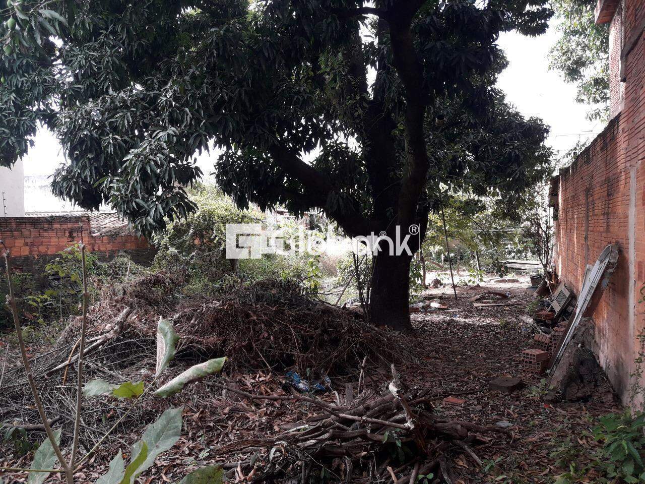 Terreno à venda Edgar Pereira 0m² Montes Claros MG: | Foto_migracao | 4