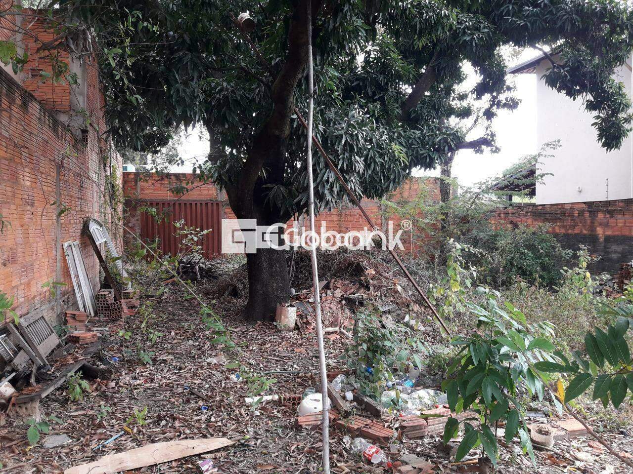 Terreno à venda Edgar Pereira 0m² Montes Claros MG: | Foto_migracao | 3