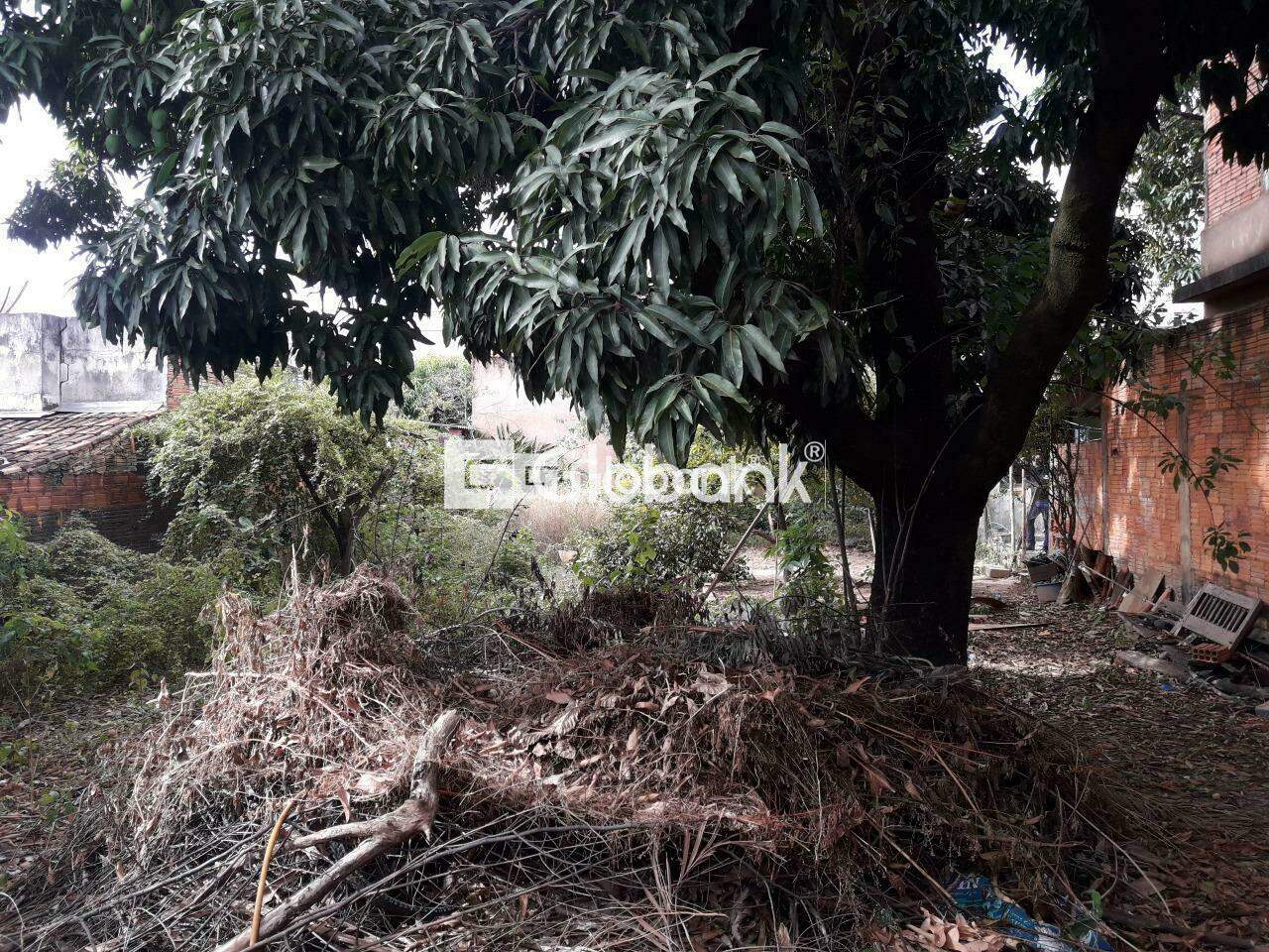 Terreno à venda Edgar Pereira 0m² Montes Claros MG: | Foto_migracao | 2