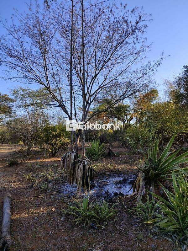 Terreno comercial à venda Barcelona Park 0m² Montes Claros MG: | Foto_migracao | 3