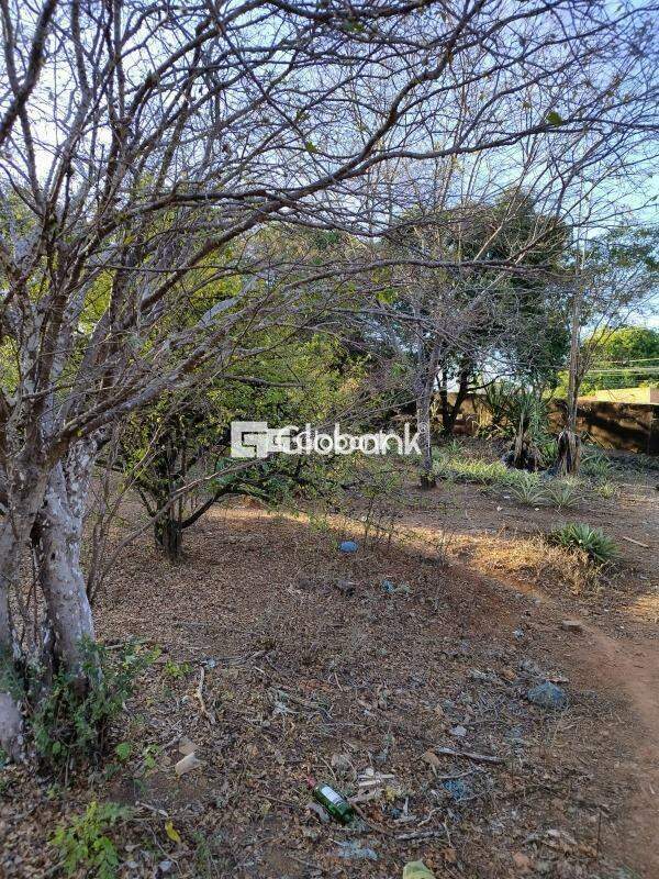 Terreno comercial à venda Barcelona Park 0m² Montes Claros MG: | Foto_migracao | 1