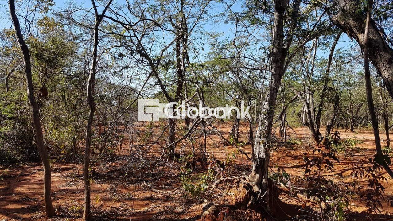 Chácara à venda Área Rural de Montes Claros 0m² Montes Claros MG: | Foto_migracao | 2