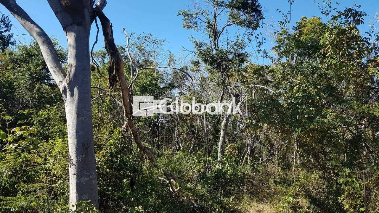 Chácara à venda Área Rural de Montes Claros 0m² Montes Claros MG: | Foto_migracao | 3