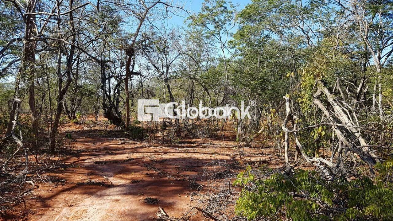 Chácara à venda Área Rural de Montes Claros 0m² Montes Claros MG: | Foto_migracao | 1