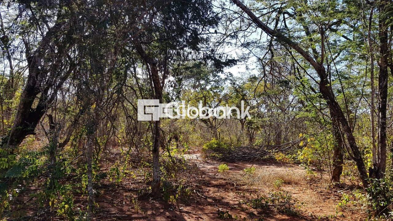 Chácara à venda Área Rural de Montes Claros 0m² Montes Claros MG: | Foto_migracao | 8