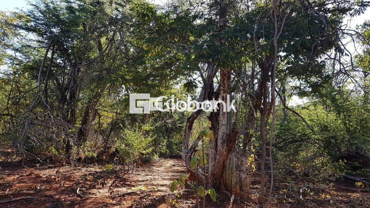 Chácara à venda Área Rural de Montes Claros 0m² Montes Claros MG: | Foto_migracao | 1