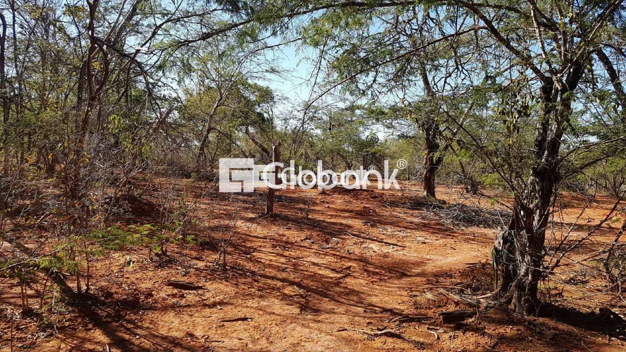 Chácara à venda Área Rural de Montes Claros 0m² Montes Claros MG: | Foto_migracao | 9